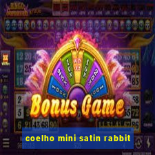 coelho mini satin rabbit